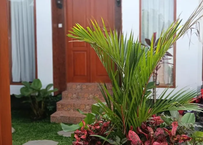 Otila Bali